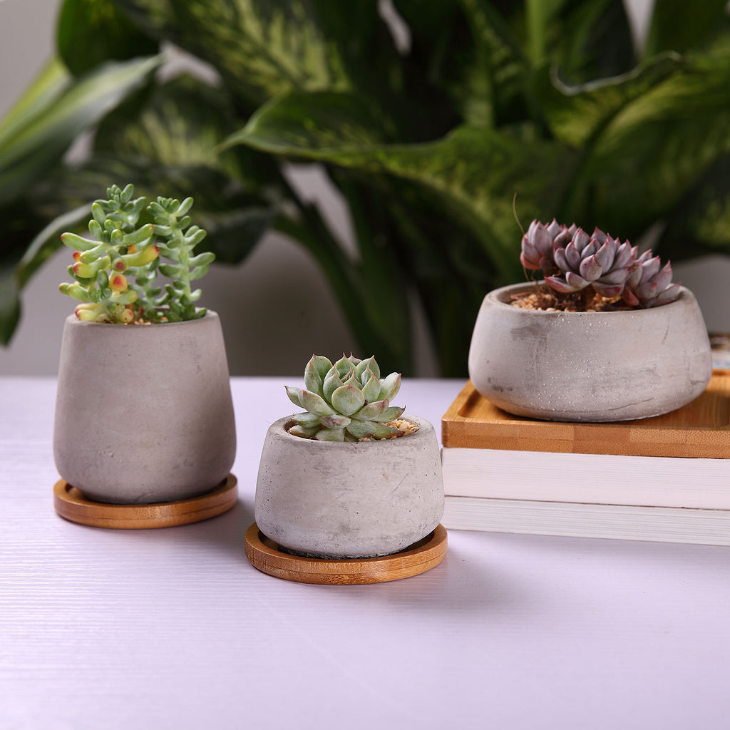 Cement Succulent Cactus Pot-Small Clay Pot for Plants Flowers with Drainage