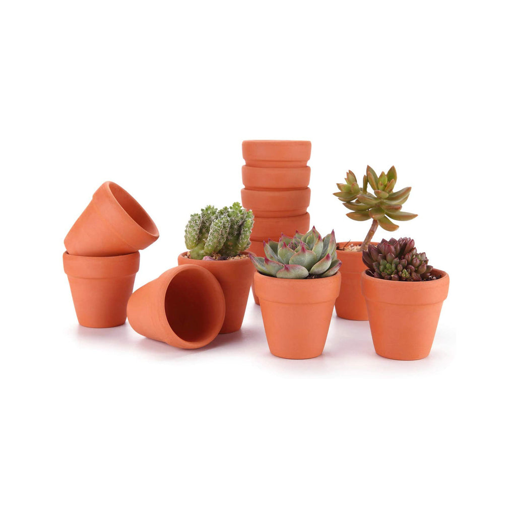 terracotta clay succulents pots T4U