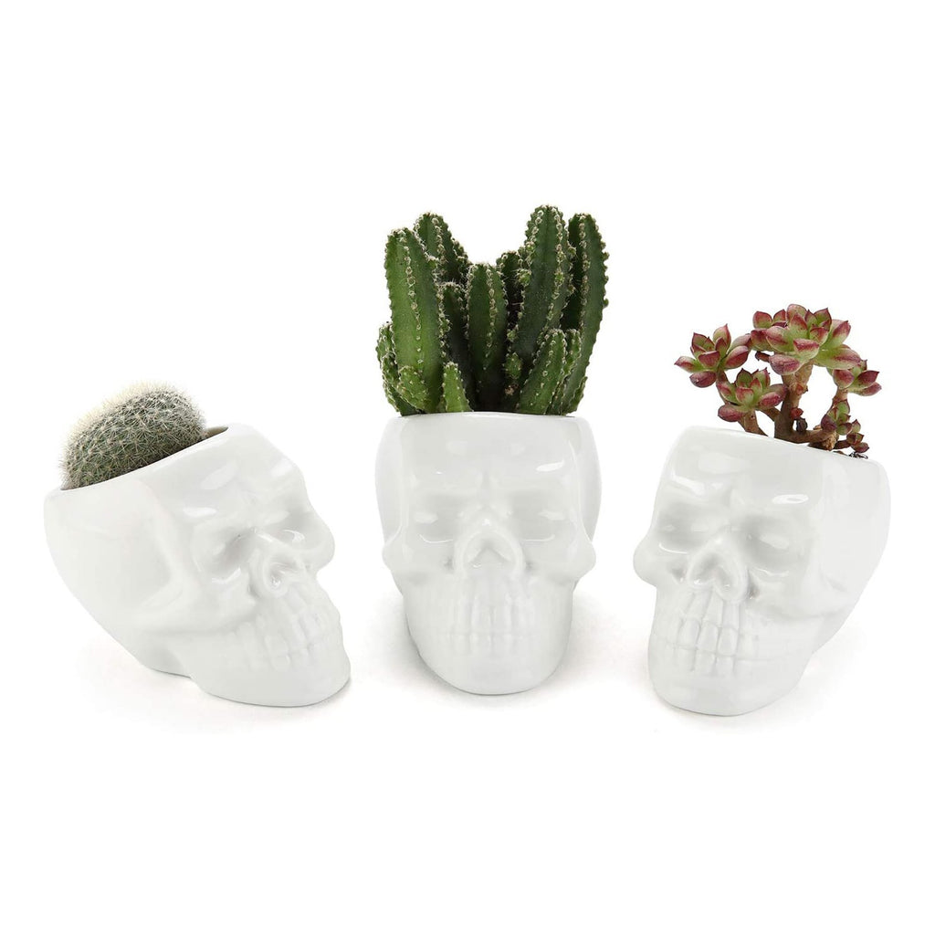 Skull Ceramic Succulents Pots T4U 
