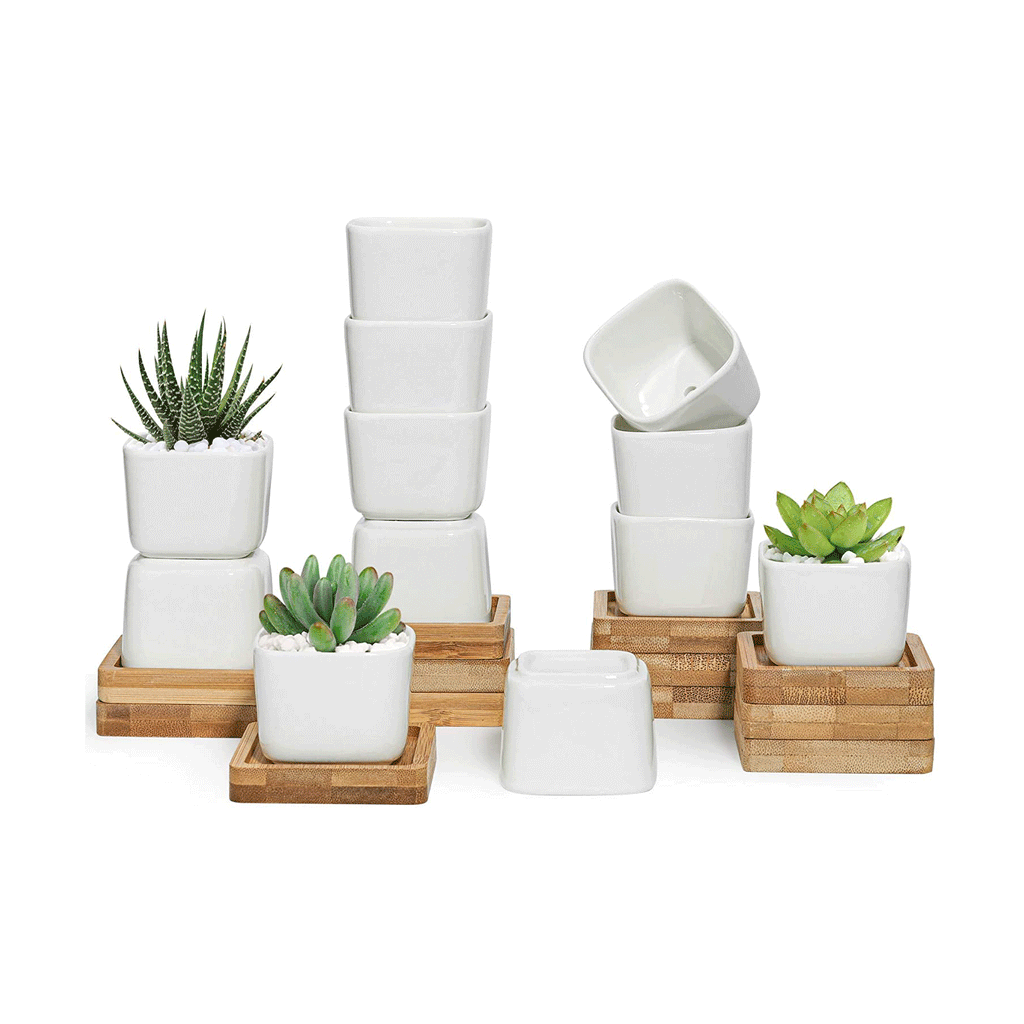 white square ceramic succulents pots with bamboo tray T4U