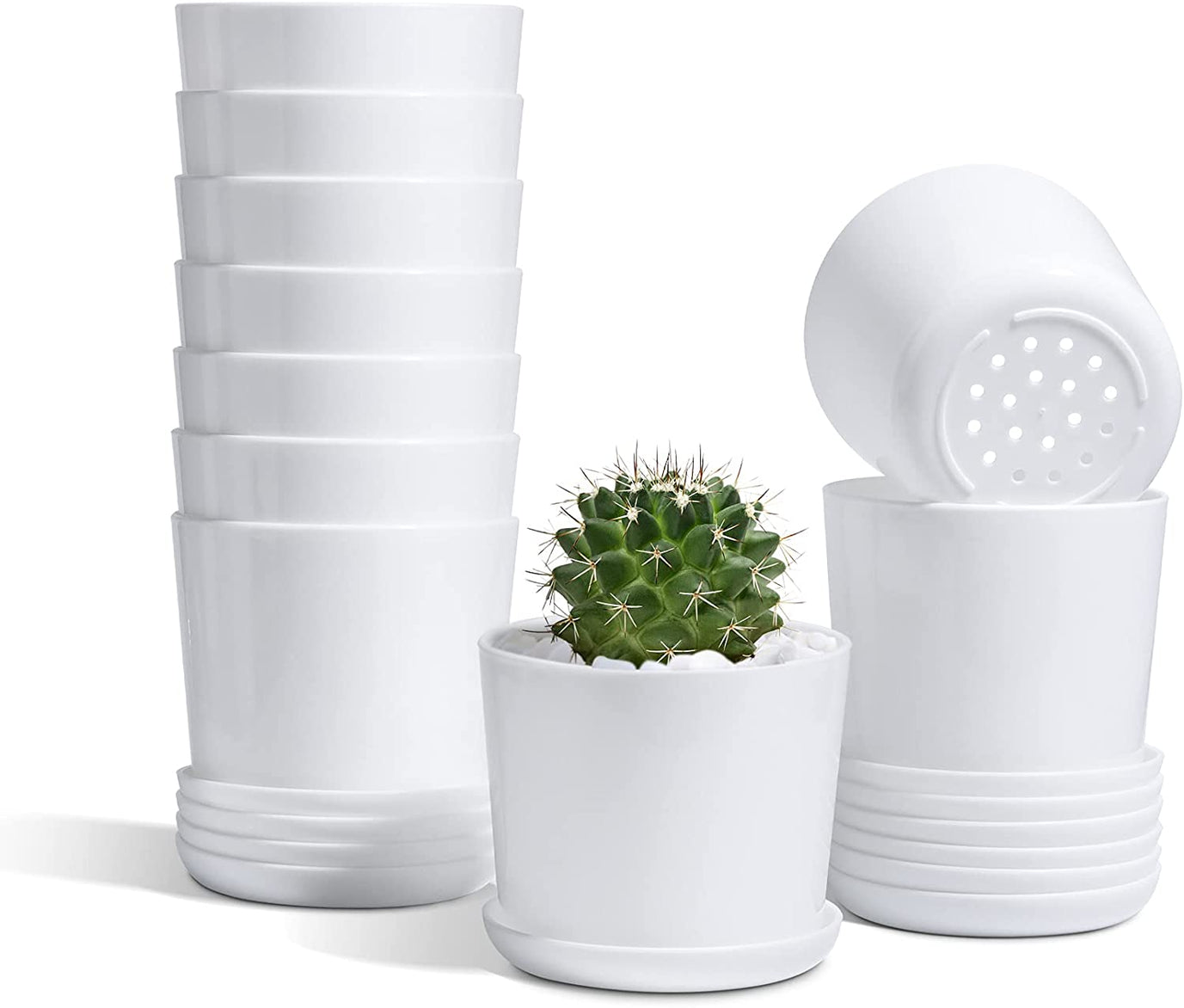 P2280 Tall Plastic Succulent Pots with trays - 20pcs,  White, 4