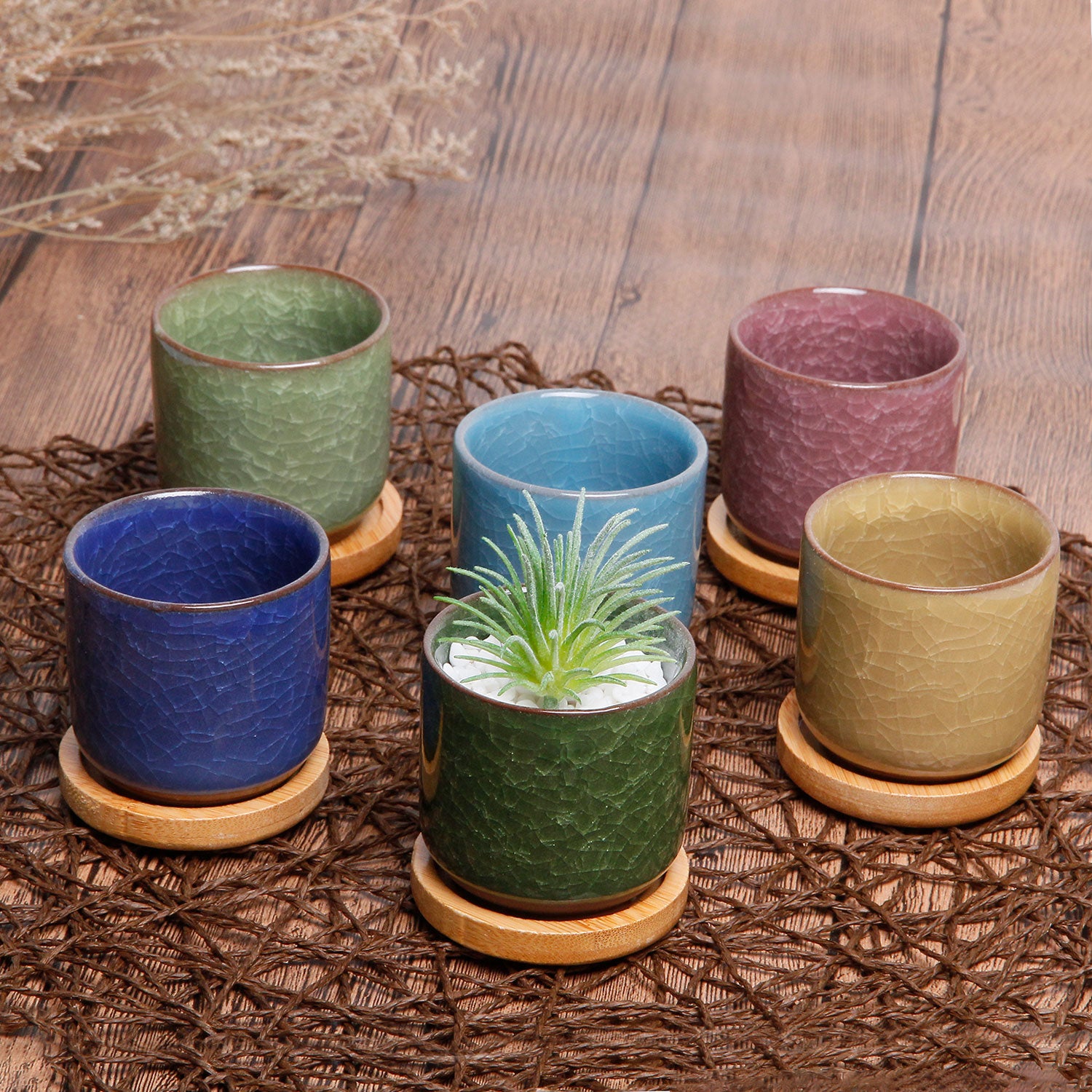 Ice Crack Pots-Small Ceramic Succulent Planter Pot with Drainage Hole, 2.4