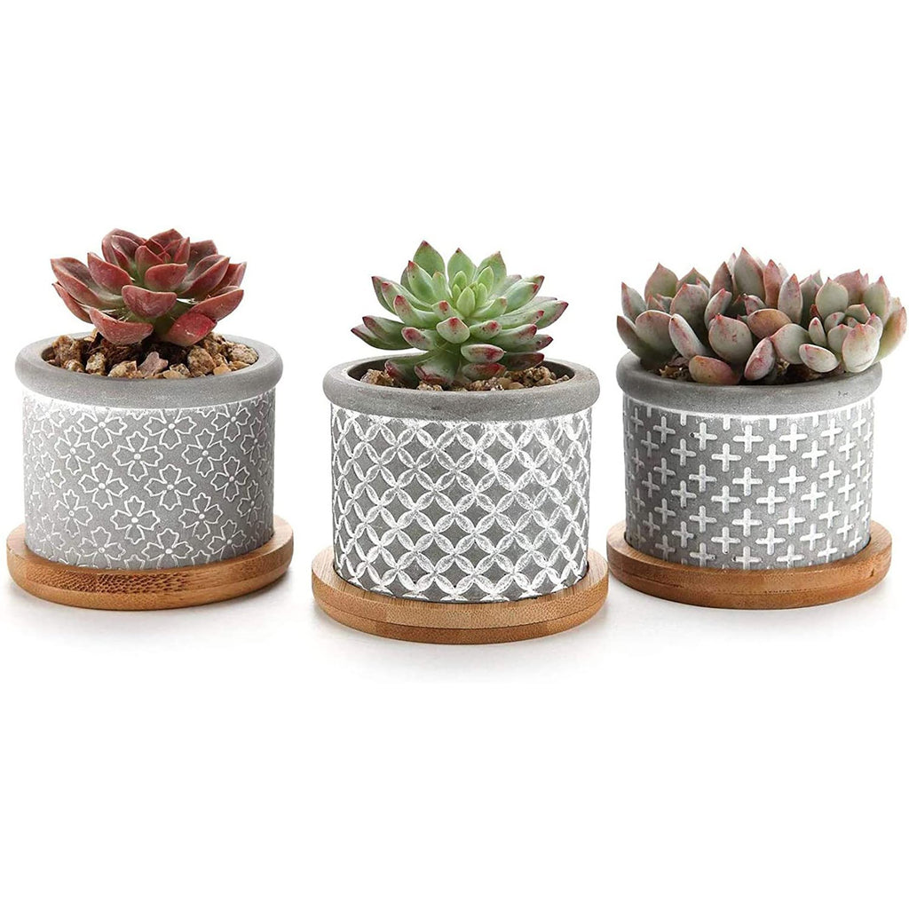classic pattern cement succulents pots T4U