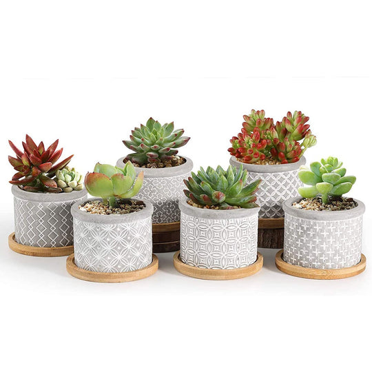classic pattern cement succulents pots T4U
