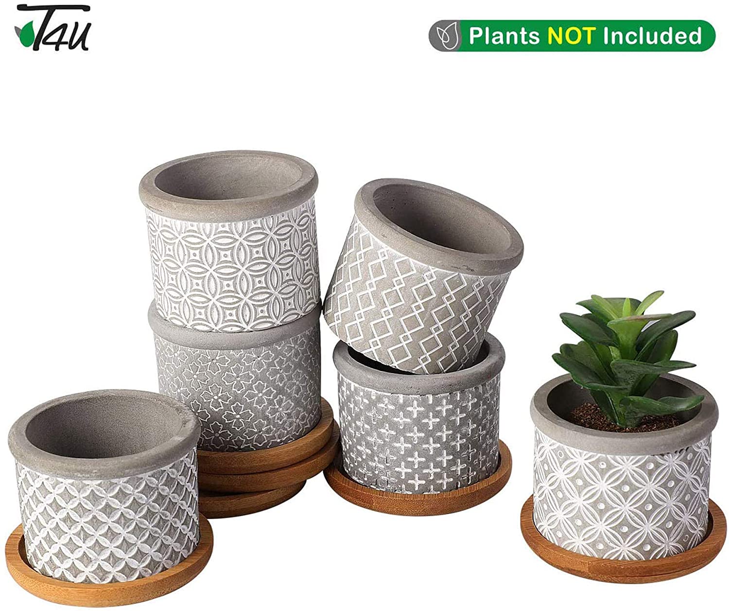 classic pattern cement succulents pots T4U