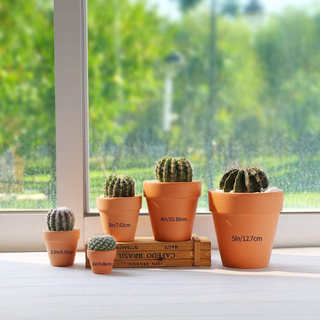 Terracotta Clay Pots Red 4 Inch T4U T4U Official