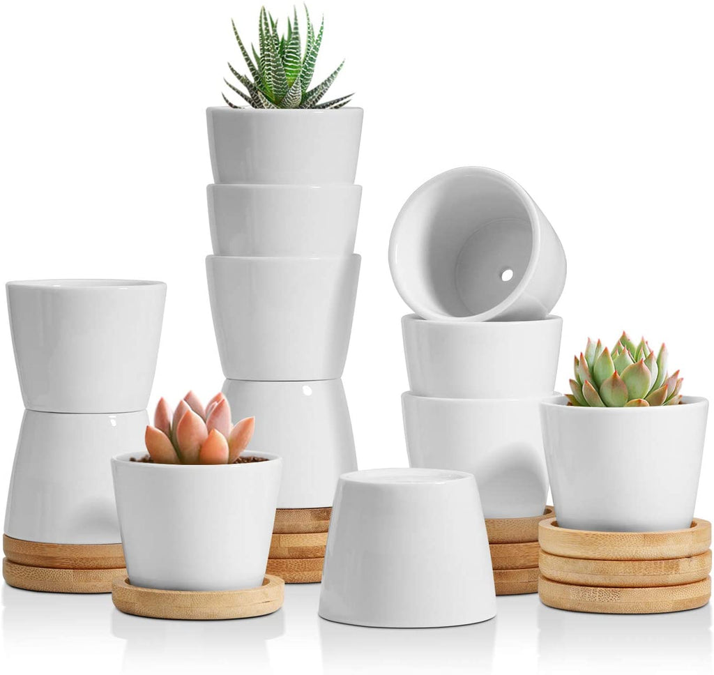 Round Pots with bamboo trays -6/12pcs, White, 2.5"