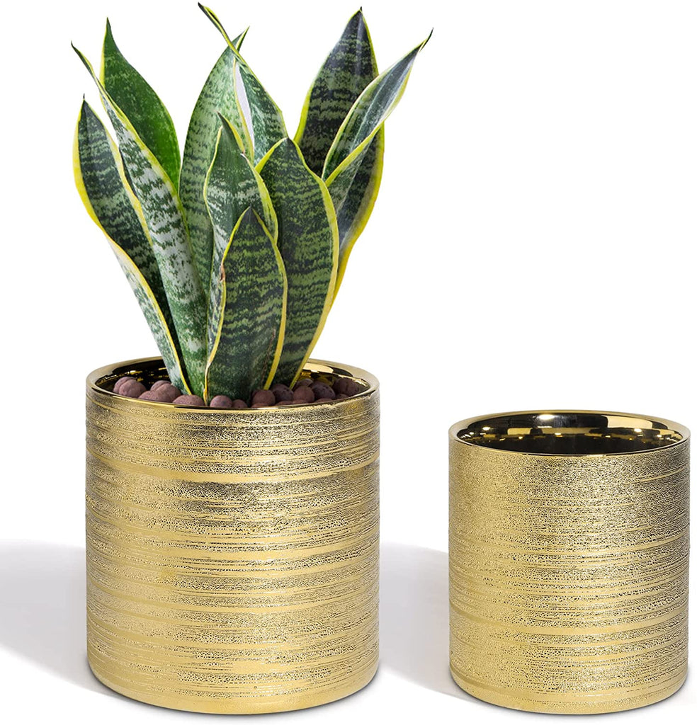 T4U Metallic style ceramic succulent pots gold