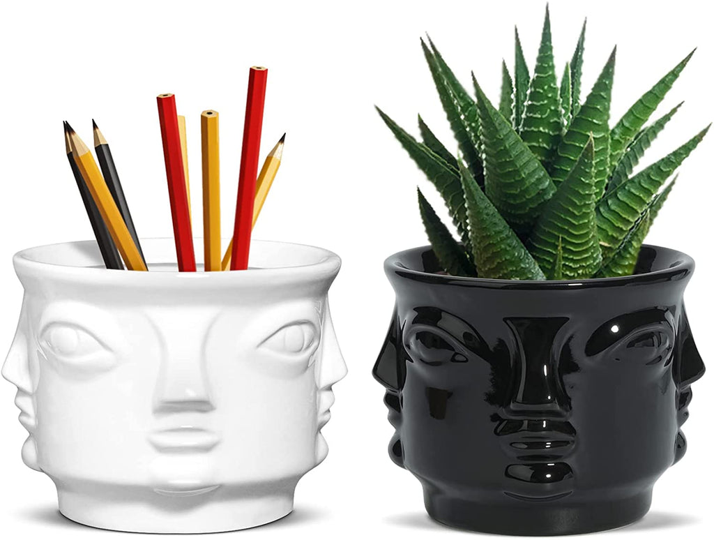 T4U Stylish face succulent ceramic pots 