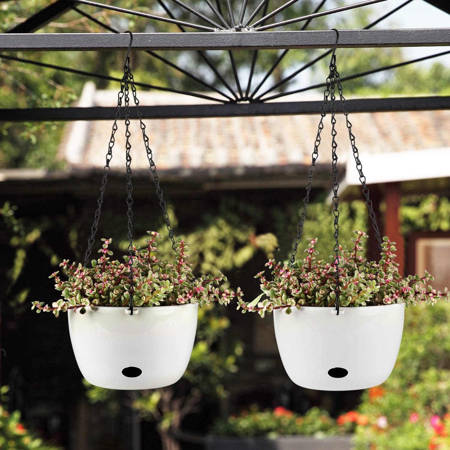 self watering hanging planters T4U