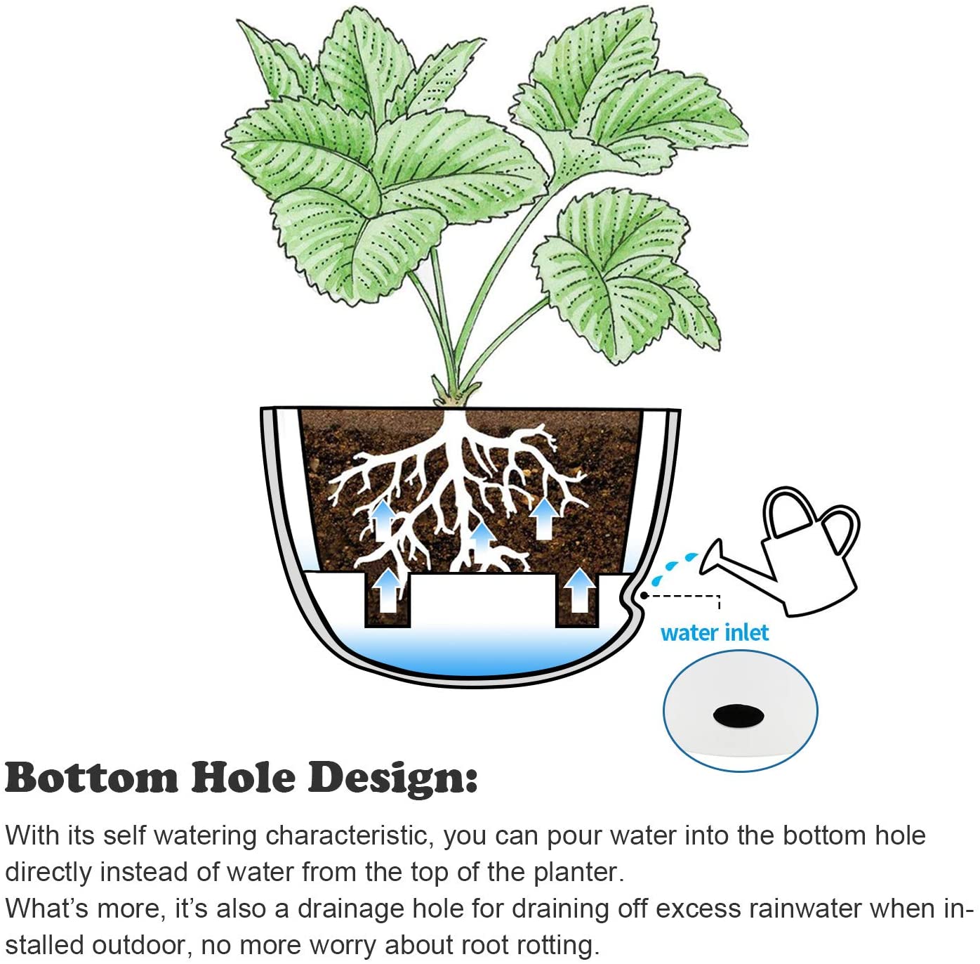 self watering hanging planters T4U