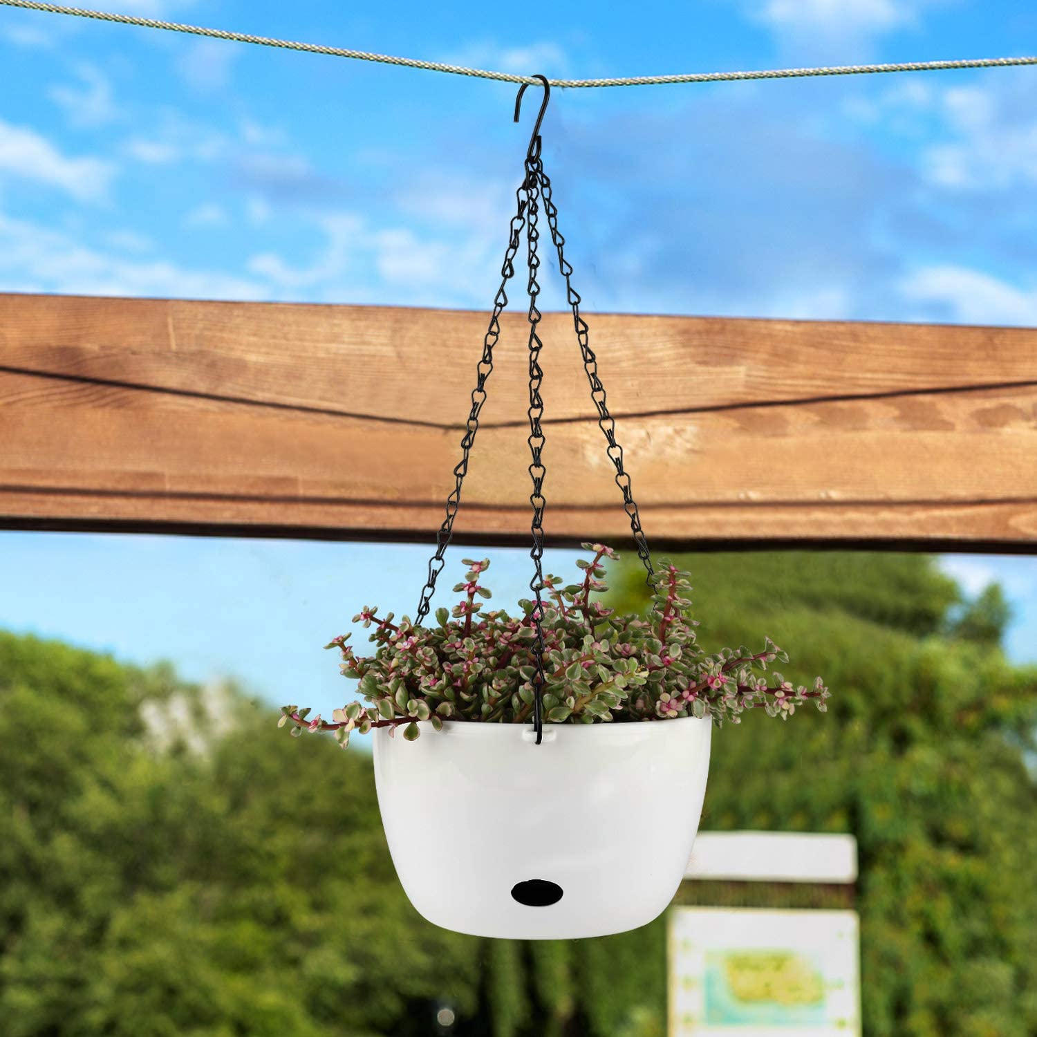 self watering hanging planters T4U