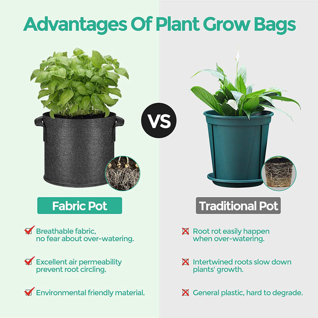 How to use fabric grow bags to grow bigger better crops