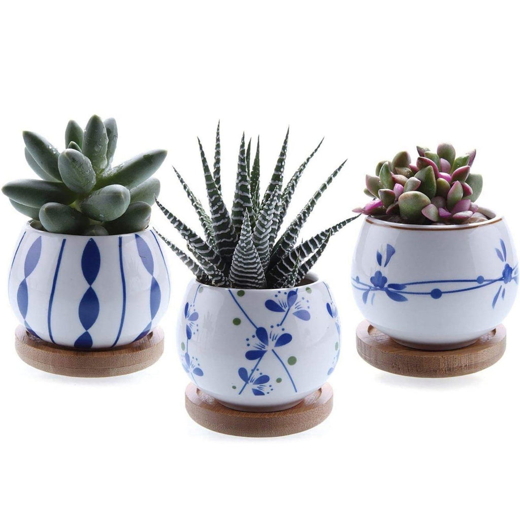 Japanese Style ceramic succulents Pots with Bamboo Trays T4U