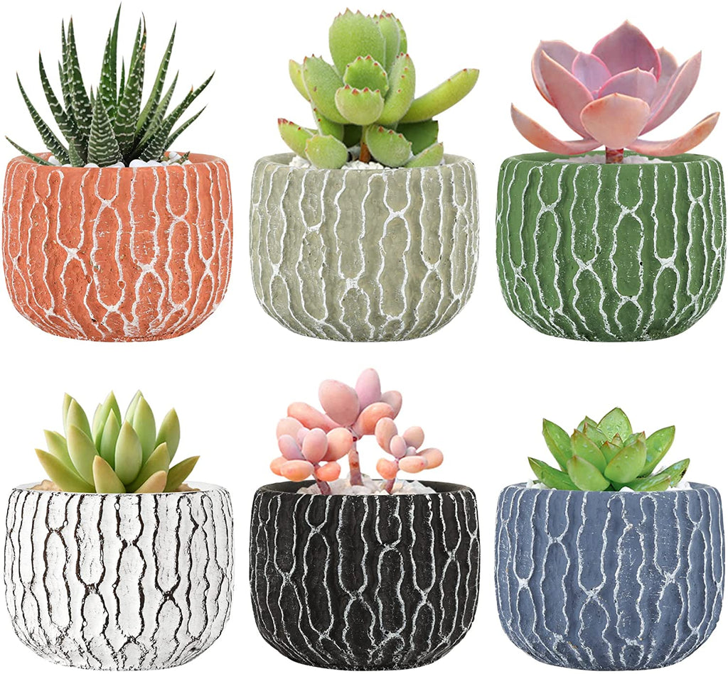 T4U Colorful cement succulent pots