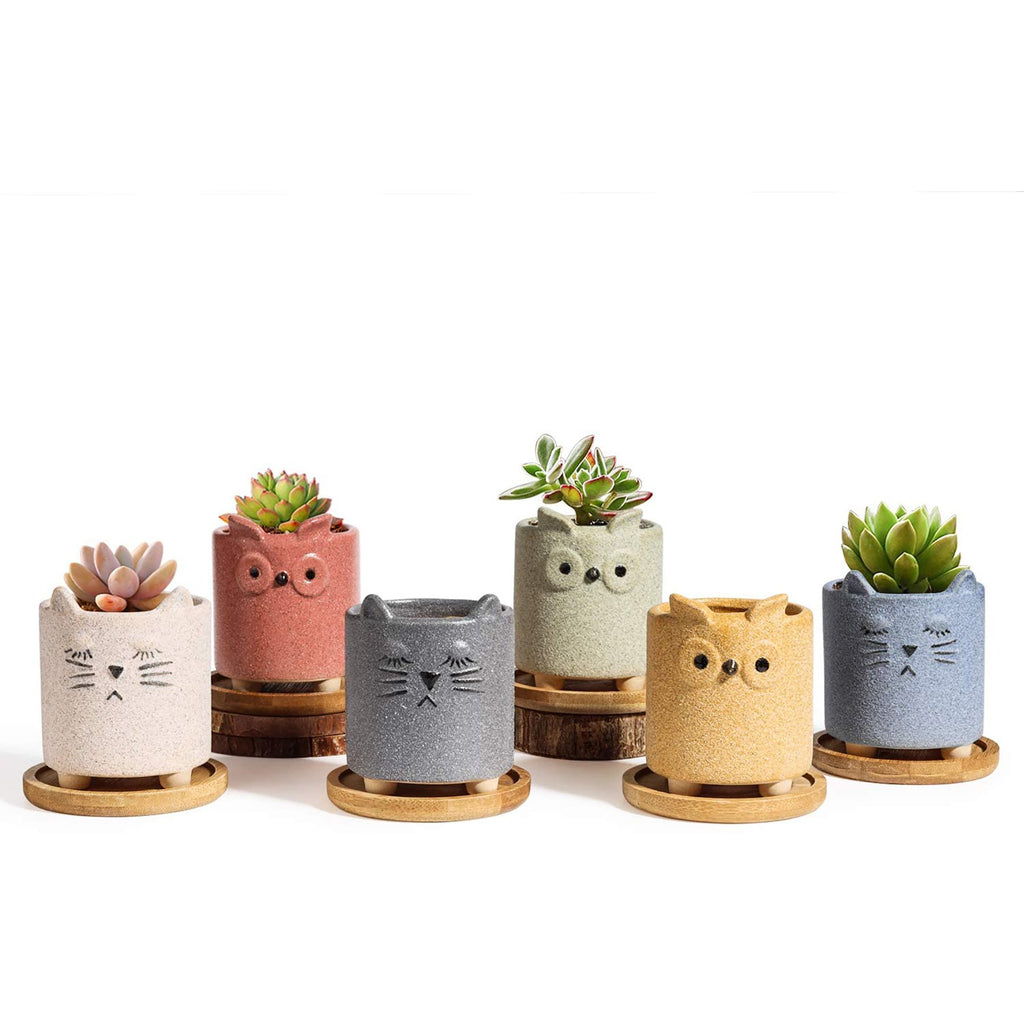 cute owl and cat carton matte succulent ceramic pots T4U