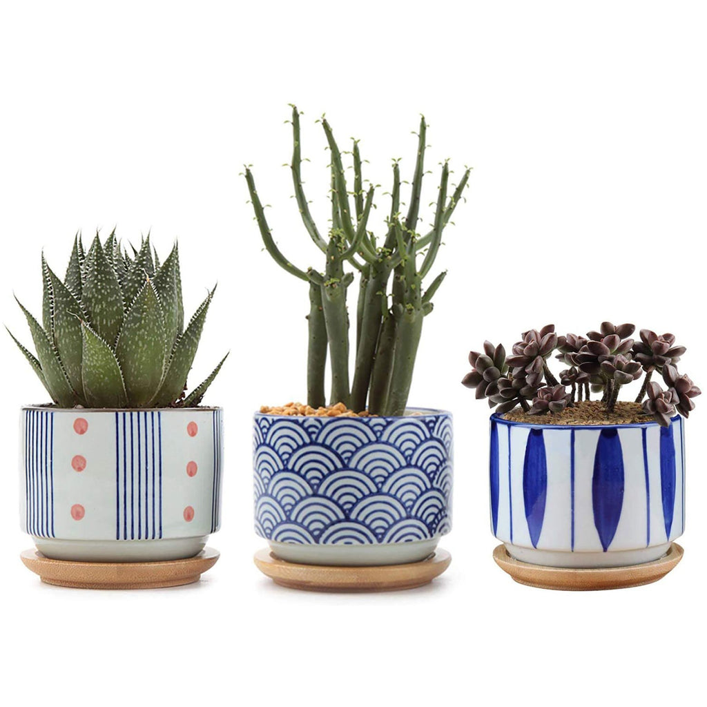Japanese Style ceramic succulents Pots with Bamboo Tray T4U 