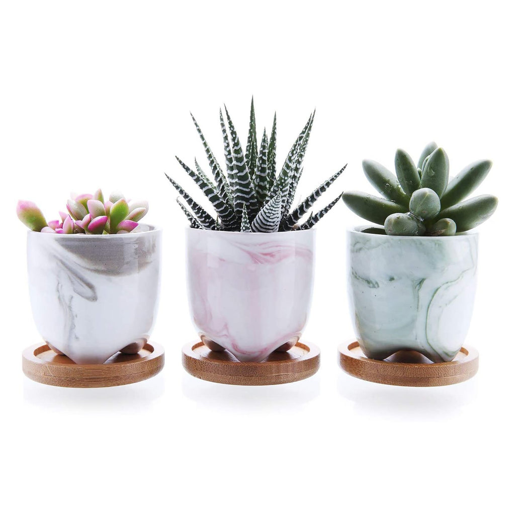 2.5 inch multi color marble glazed ceramic succulents pots set T4U 