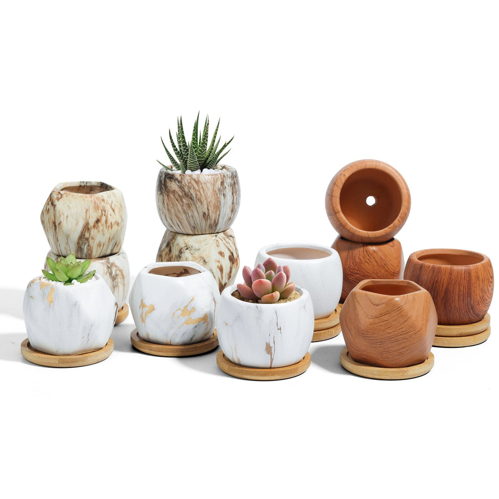 Natural Style Ceramic Succulents Pot with Bamboo Tray T4U
