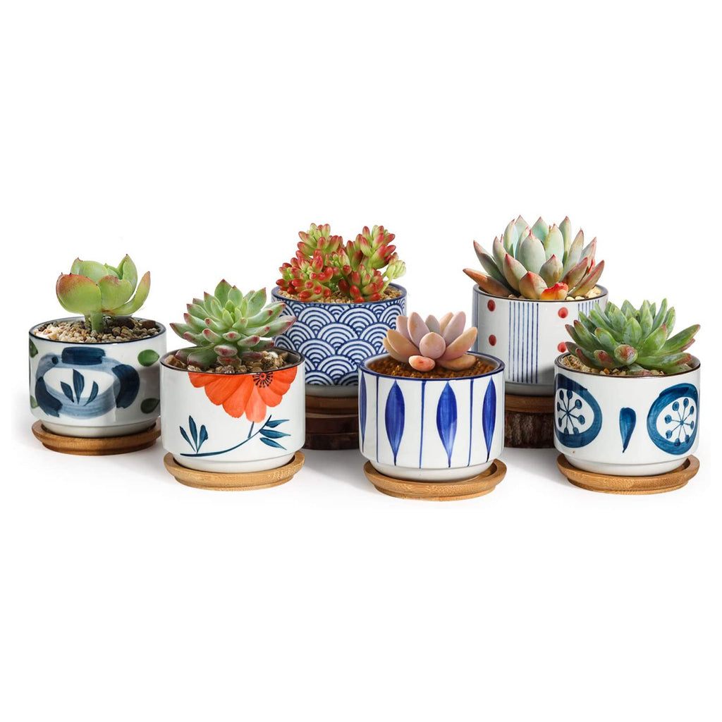 Japanese style ceramic succulents pots T4U