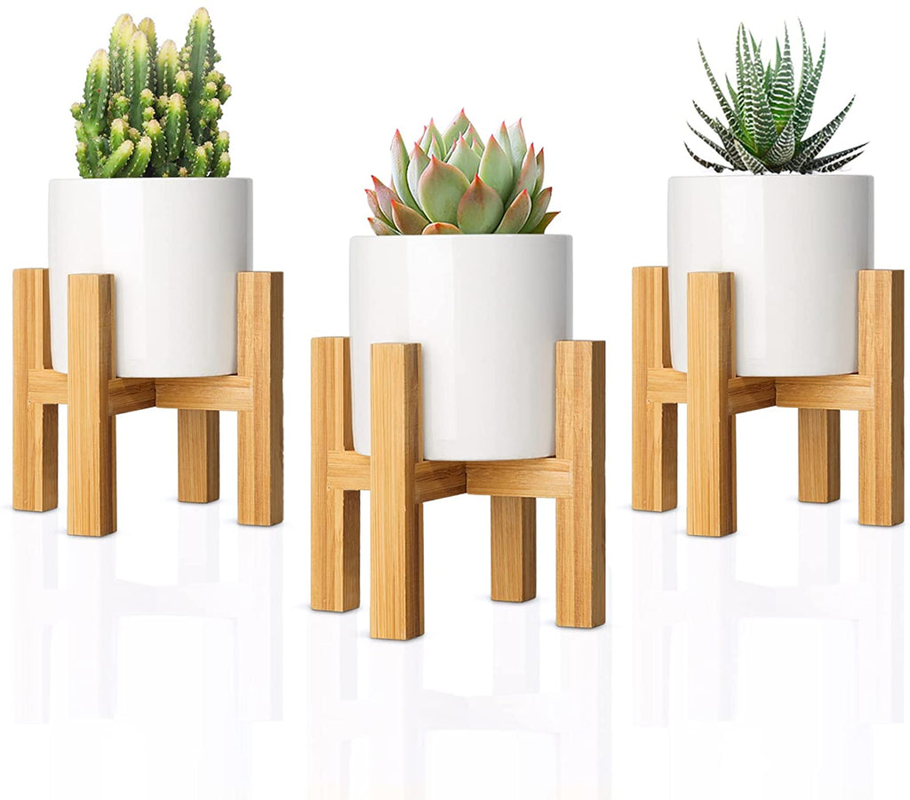 T4U ceramic succulent cylinder pots with bamboo stands 