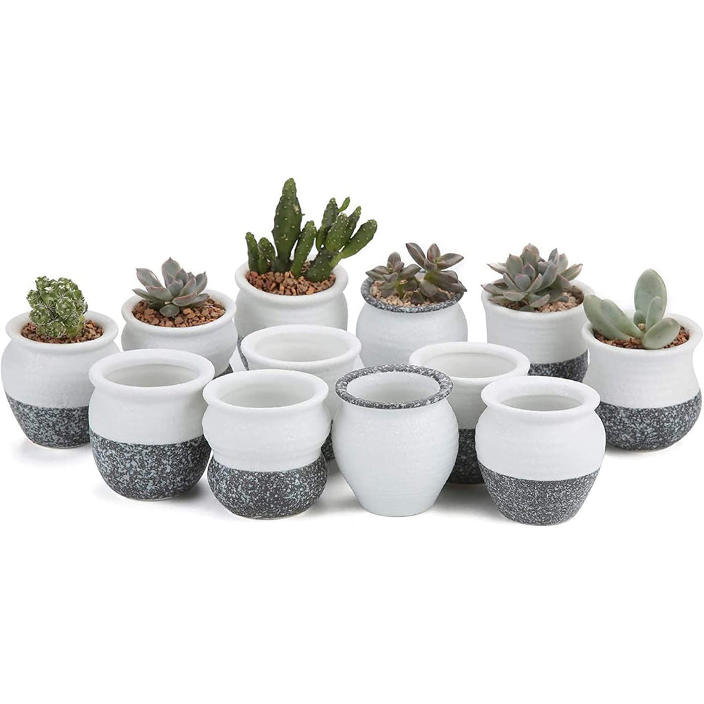 Snowflakes Glazed Porcelain ceramic succulent Pot T4U
