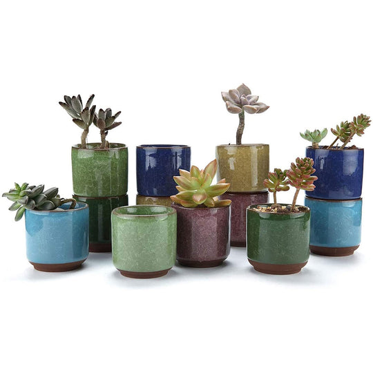 Tall Ice Crack Glaze Mini ceramic succulents Pot T4U