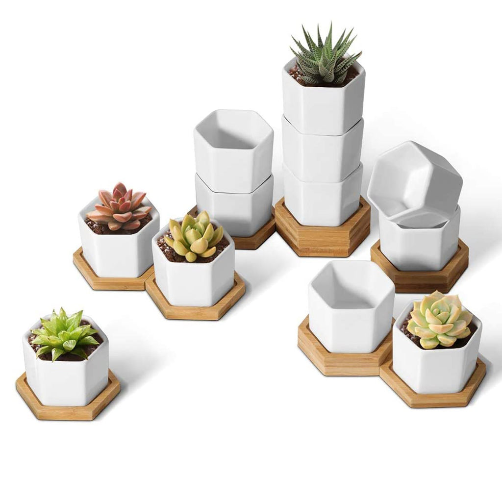 White Hexagon Ceramic Succulents Pots with Bamboo Tray T4U