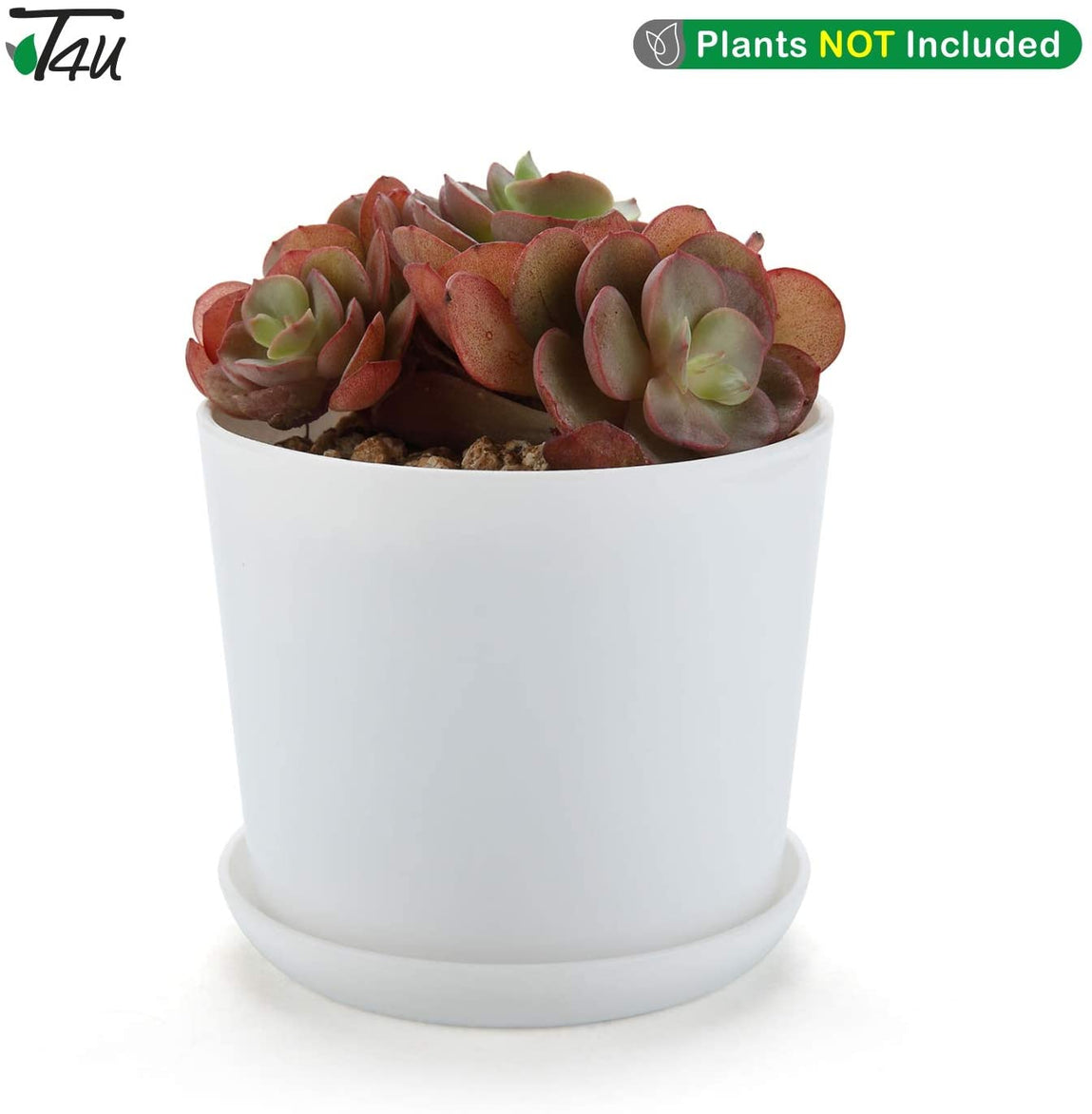 resin plastic plant pots with saucer T4U