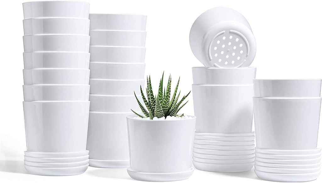 P2280 Tall Plastic Succulent Pots with trays - 20pcs,  White, 4"